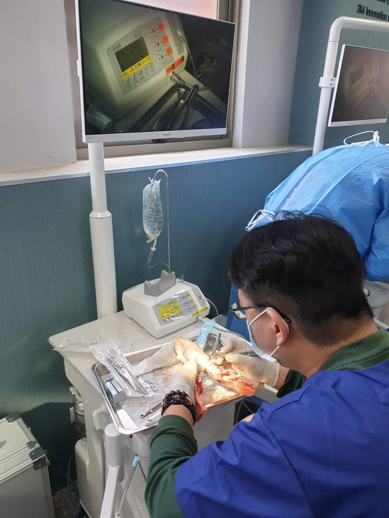 Dental implant motor machine Korea original ki-20 implant system dentist equipment with 1 pcs LED contra angle  handpiece kit