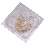 Vacuum Forming Machine with Rubber Sheets VACUUM FORMER Molding Dental Lab Equipment